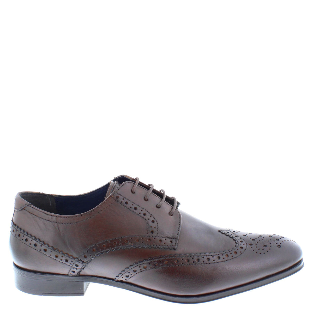 Thomas Crick Banks Men's Leather Brogue Shoes