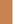  Tan / White